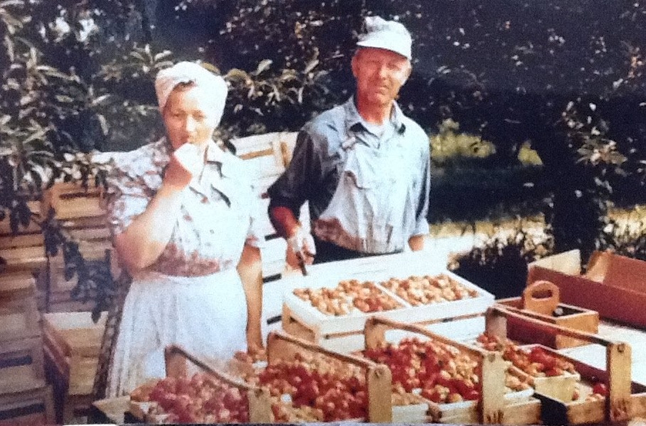 berrien county fruit farm