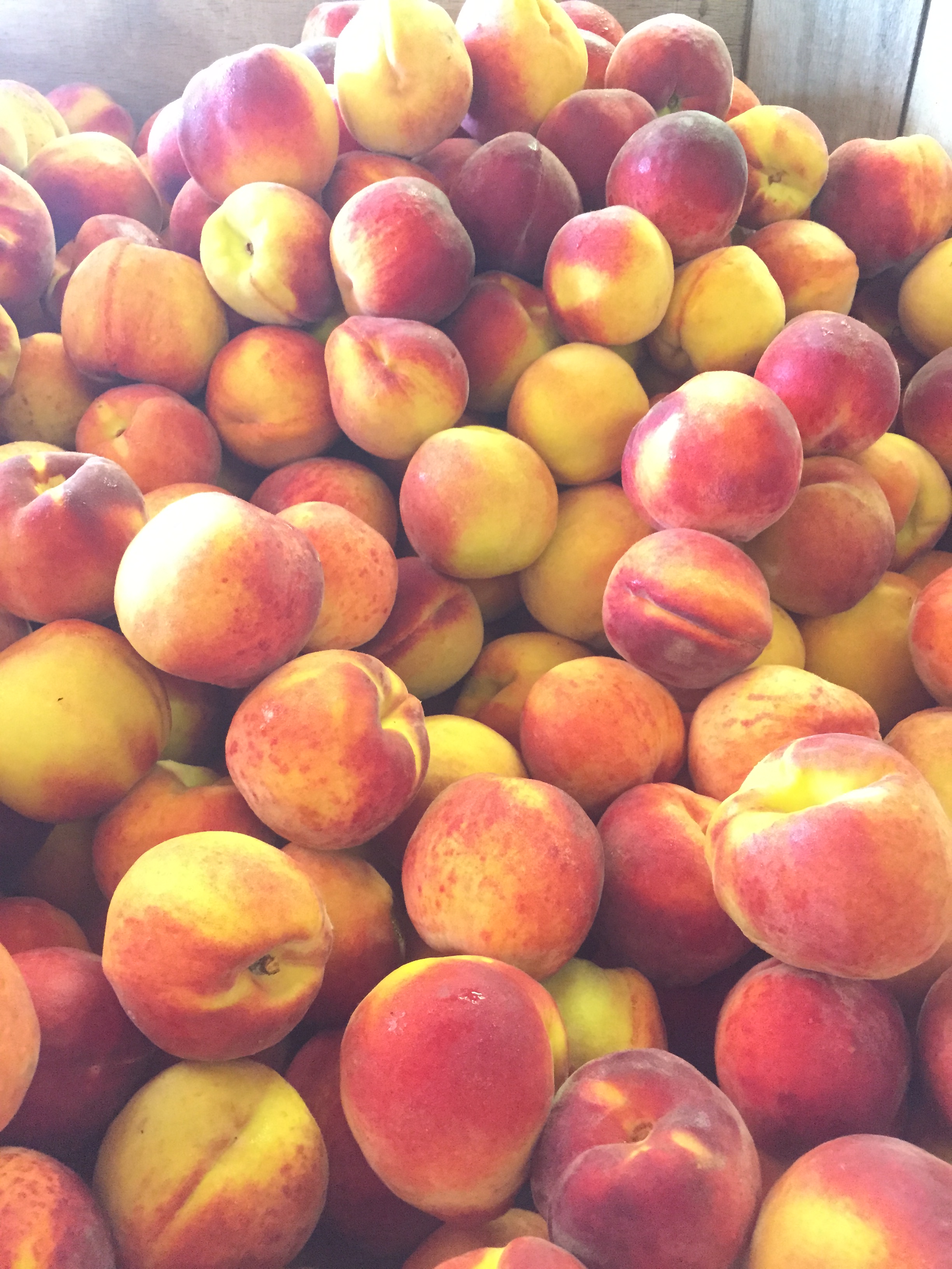 michigan peaches